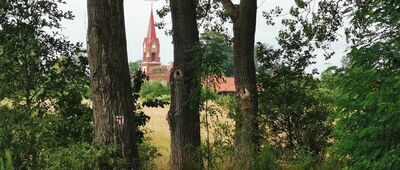 Raszowa ↔ Miłoradzice, rozejście szlaków [pomiędzy]