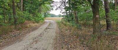 Raszowa ↔ Miłoradzice, rozejście szlaków [pomiędzy]