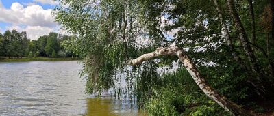 Rozejście szlaków ↔ Rezerwat Jedlnia [Nad zalewem]