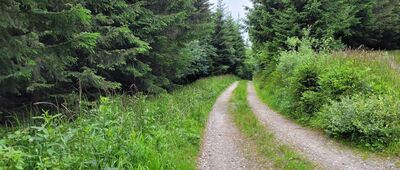 Pramen Zaječího potoka ↔ Lysý vrch, rozc.