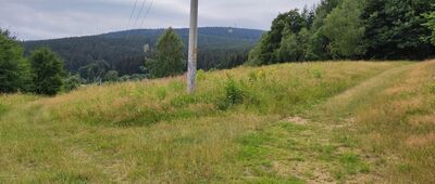 Rozdroże nad Modlęcinem [Rozejście szlaków]