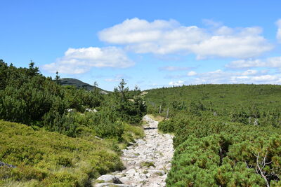 po prawej Tępy Szczyt 1388m, po lewej Mały Szyszak 1439m