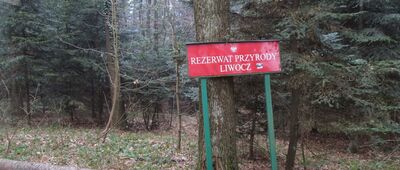 Rezerwat Liwocz, parking ↔ Rezerwat Liwocz