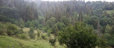 Sedlo pod Zlieňom ↔ Ďurčovci