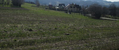 Kisielówka, skrzyżowanie ↔ Tymbark, stadion