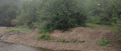 Orlik, odejście na szczyt ↔ Jasień [Na szlaku na Orlik]