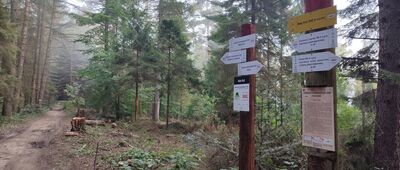 Mały Król [Na szczycie]