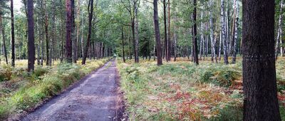 Reta Śmiłowicka ↔ Dolina Jamny