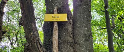 Durna