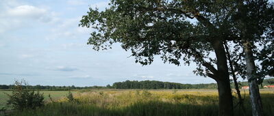 Wojnowice, ul. Zamkowa ↔ Miękinia, obwodnica