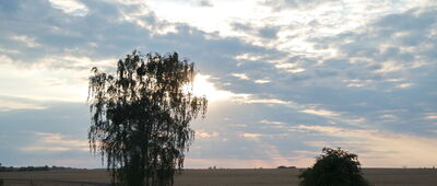 Lutynia ↔ Miękinia