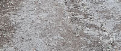 Zaječí rokle, rozc. ↔ Martínkovice, kaple