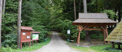 Tuchowski Las, parking