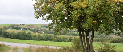 Falkowa, skrzyżowanie szlaków