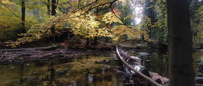 Szklarka, granica parku narodowego