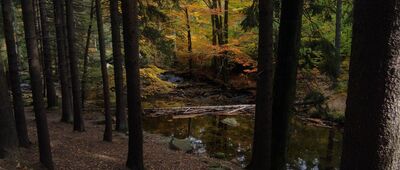 Szklarka, granica parku narodowego