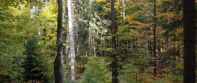 Rozejście szlaków ↔ Rozejście szlaków