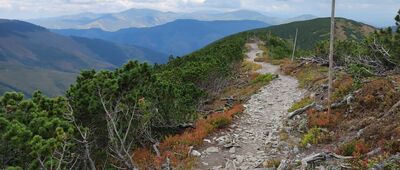 Rozejście szlaków ↔ Četrovica, motorest, rázc.