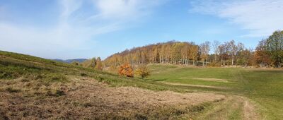 Skrzyżowanie nad jeziorem ↔ Rozdroże koło Sępika [Na szlaku]