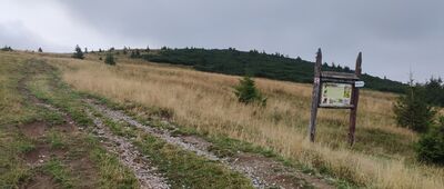 Kráľova studňa, rázc.