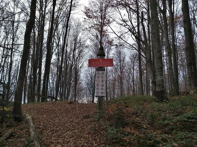 Ostatnie metry podejścia na Kiczerę Bereżczeńską