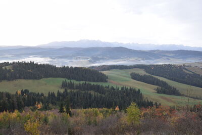 widok ze szczytu Lósa - 100m od szlaku