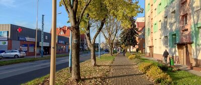 Lubin, ul. Marii Skłodowskiej-Curie ↔ Lubin, ul. Szkolna