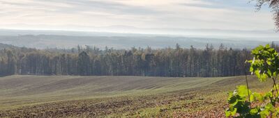 Nowina, rozwidlenie ↔ Kalinka [Widok z pod Kalinki]