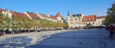 Pszczyna [Rynek]