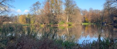 Pszczyna, Park Zamkowy ↔ Pszczyna, ul. Chopina