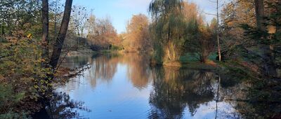 Pszczyna, Park Zamkowy ↔ Pszczyna, ul. Żorska