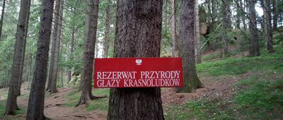 Jawiszów ↔ Gorzeszowskie Skałki