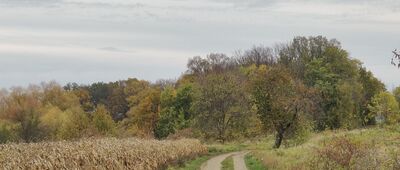 Sadowice ↔ Małkowice [Droga z Sadowic do Małkowic]