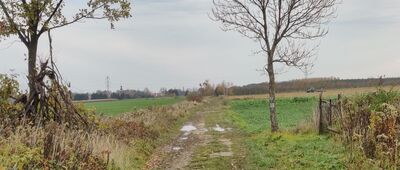 Sadowice ↔ Małkowice [Droga z Sadowic do Małkowic - polecam suche dni]