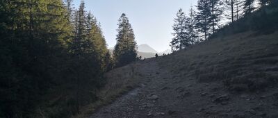 Hala Kopieniec, skrzyżowanie szlaków ↔ Polana Kopieniec