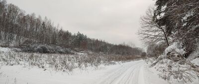 Puławy, ul. Parkowa ↔ Piasecznica [droga Włostowice - Skowieszyn]