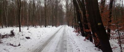 Kapliczka św. Huberta ↔ Rozejście szlaków niebieski / żółty