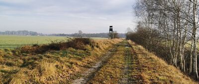 Nowy Dwór ↔ Rozejście szlaków [Jędrzychów]