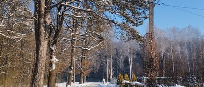 Rezerwat Rudka Sanatoryjna ↔ Wola Rafałowska [Al. Teodora Dunina]