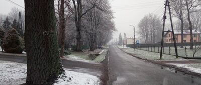 Rudołtowice, pałac [czarny szlak do Ćwiklic zaczyna się przed pałacem w Rudołtowicach]