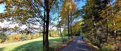 Dział ↔ Pod Górą Ludwiki [Październikowa jesień]