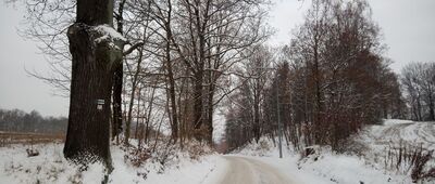 Cieplice, ul. Krośnieńska