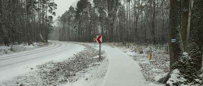 Czempiń ↔ Stary Lubosz