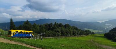 Żar