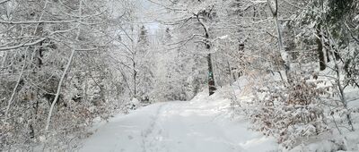 Bystra Krakowska, skrzyżowanie szlaków ↔ Bystra Krakowska, skrzyżowanie szlaków