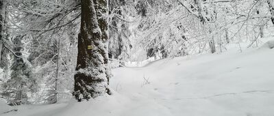 Lanckorona ↔ Bystra Krakowska, skrzyżowanie szlaków