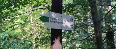 Szkolnikowe Rozstaje
