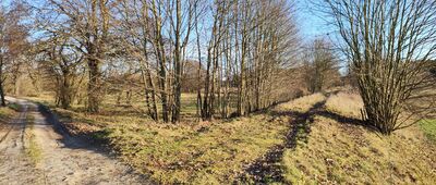 Smolno Wielkie, ścieżka do mostu