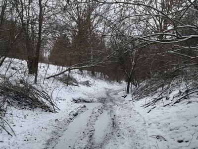 Zimą przeszło się całkiem przyjemnie, latem może być zarośnięte