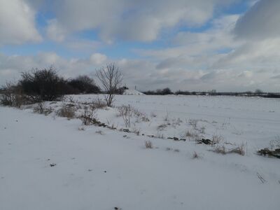 Łubianki, na szczycie, na polu
